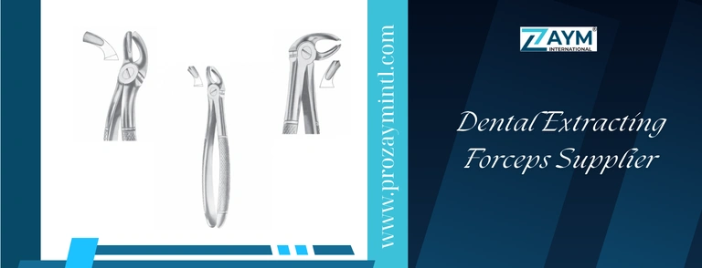 Dental Extracting Forceps Supplier